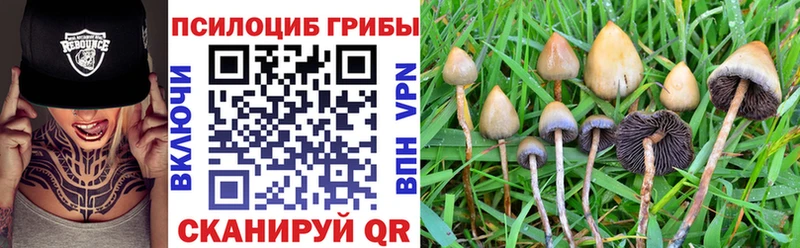 купить  цена  Ясный  Галлюциногенные грибы MAGIC MUSHROOMS 